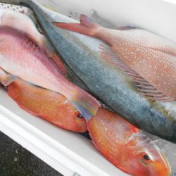 こうゆう丸 釣果