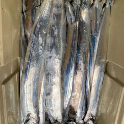 さんさん丸 釣果