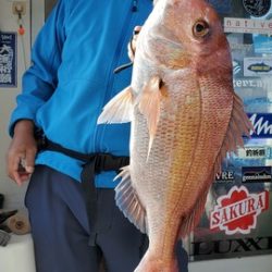 遊漁船　ニライカナイ 釣果