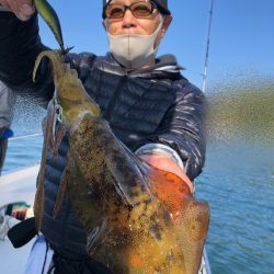 Magic(マジック) 釣果