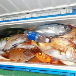 第二むつ漁丸 釣果