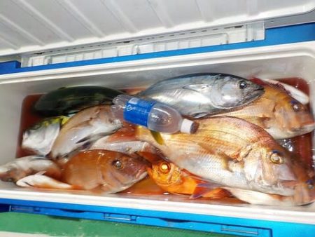 第二むつ漁丸 釣果