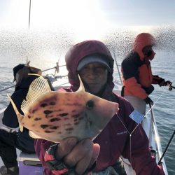 Magic（マジック） 釣果