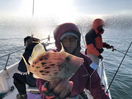 Magic（マジック） 釣果