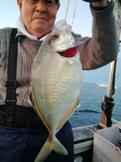 松福丸 釣果