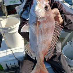 遊漁船 ニライカナイ 釣果