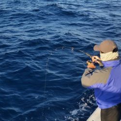 第五慶門丸 釣果