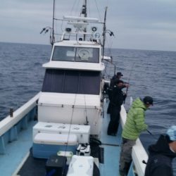 第五慶門丸 釣果