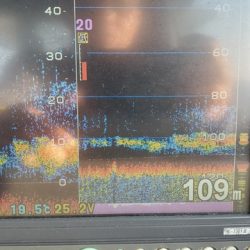 遊漁船 ニライカナイ 釣果