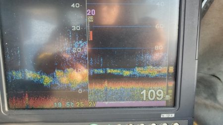 遊漁船 ニライカナイ 釣果