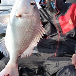 遊漁船 ニライカナイ 釣果