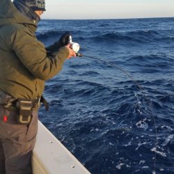 第五慶門丸 釣果