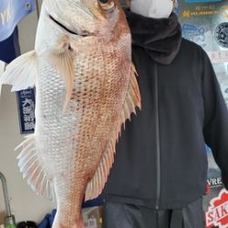 遊漁船 ニライカナイ 釣果