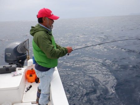 開進丸 釣果
