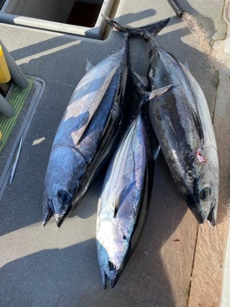 へいみつ丸 釣果