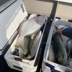 第八大安丸 釣果