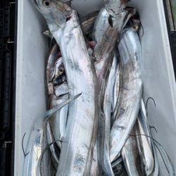 さんさん丸 釣果