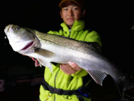 TOPGUN名古屋 釣果