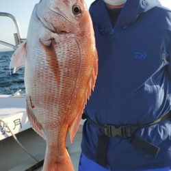 遊漁船　ニライカナイ 釣果