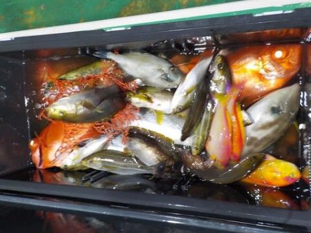 第二むつ漁丸 釣果