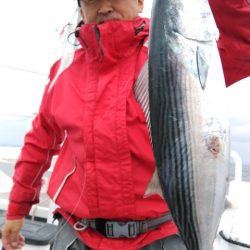 遊漁船 新鋭丸 釣果