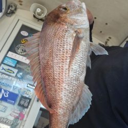 遊漁船 ニライカナイ 釣果