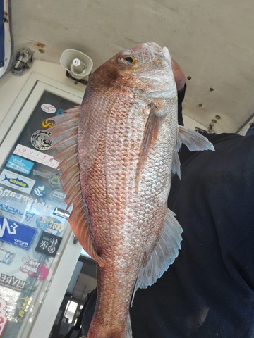 遊漁船 ニライカナイ 釣果