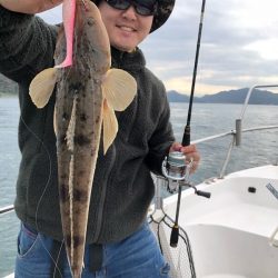 Magic（マジック） 釣果