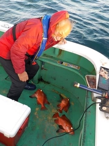 第二むつ漁丸 釣果