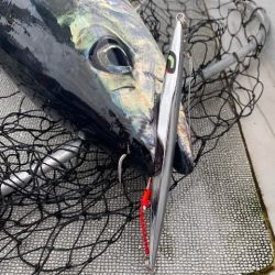 へいみつ丸 釣果