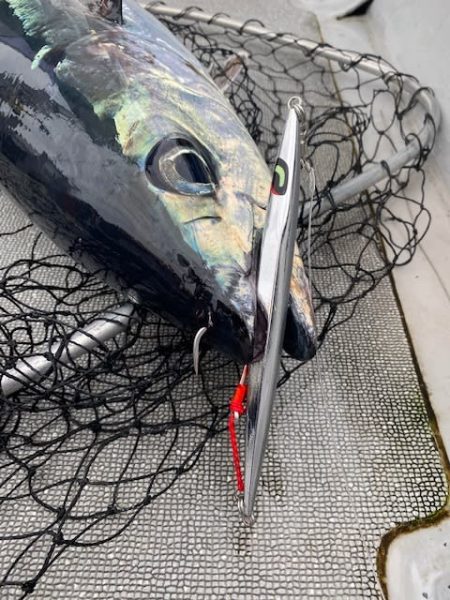 へいみつ丸 釣果