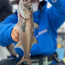 へいみつ丸 釣果