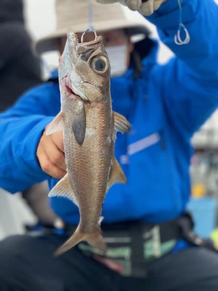 へいみつ丸 釣果