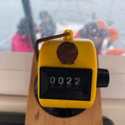 Magic(マジック) 釣果