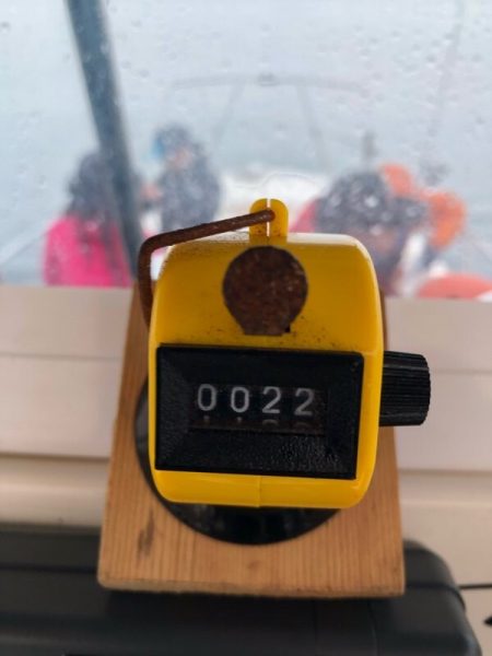 Magic(マジック) 釣果