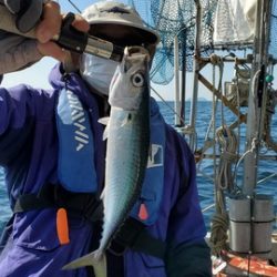 遊漁船 ニライカナイ 釣果