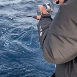 へいみつ丸 釣果