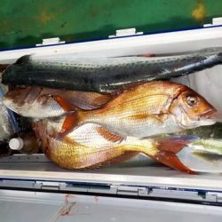 第二むつ漁丸 釣果