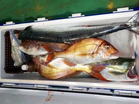 第二むつ漁丸 釣果