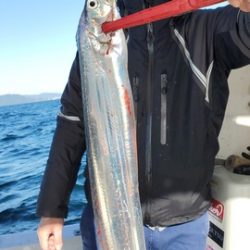 遊漁船 ニライカナイ 釣果