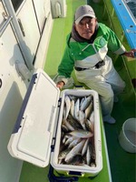 久里浜黒川本家 釣果