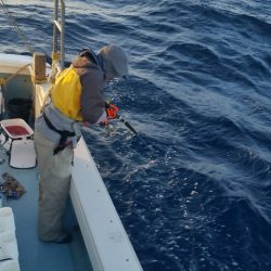 第五慶門丸 釣果