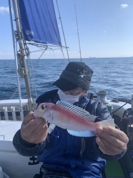 末広丸 釣果