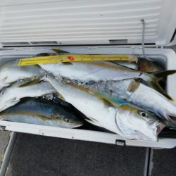 第二大福丸 釣果