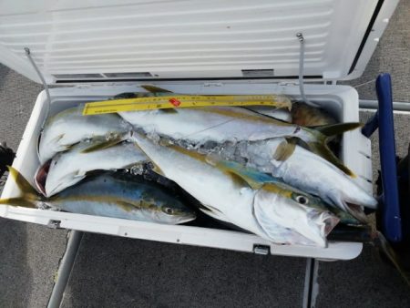 第二大福丸 釣果