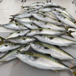 ミタチ丸 釣果