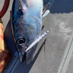 へいみつ丸 釣果