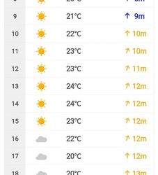 遊漁船 ニライカナイ 釣果