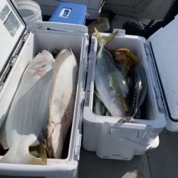 第八大安丸 釣果