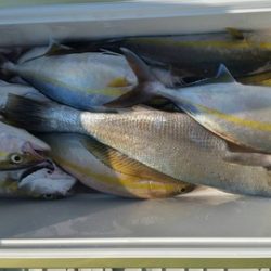 第五慶門丸 釣果